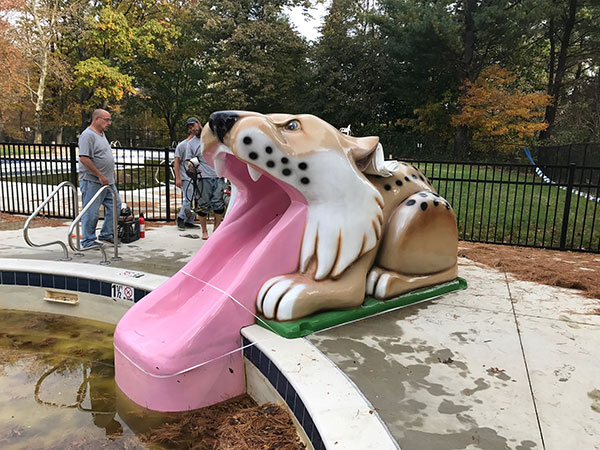 Pool tiger before - Shrink Wrapping